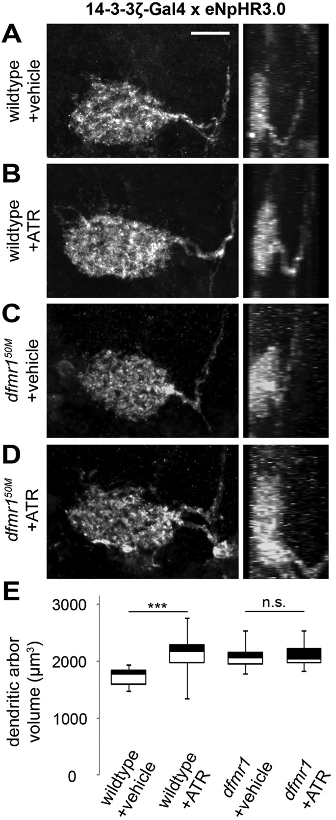 Fig. 4.