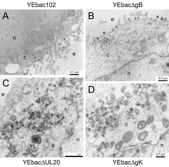 FIG. 6.