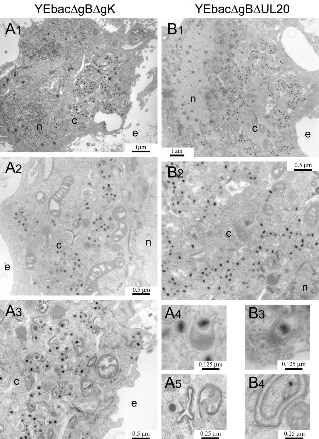 FIG.7.