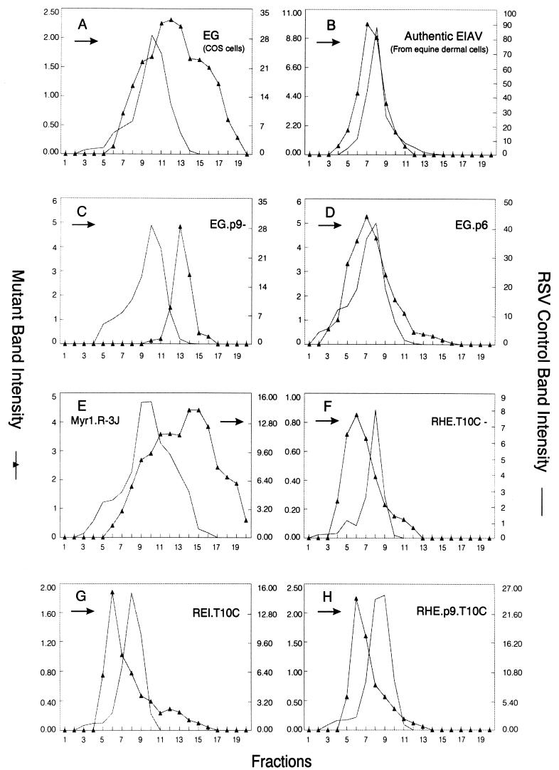 FIG. 7