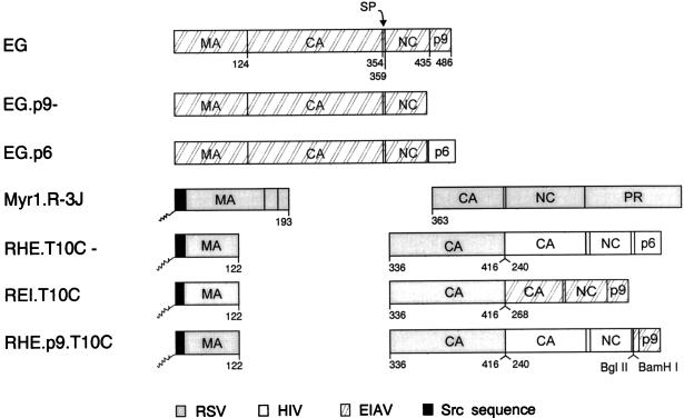 FIG. 6