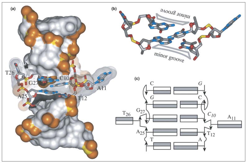 Figure 6