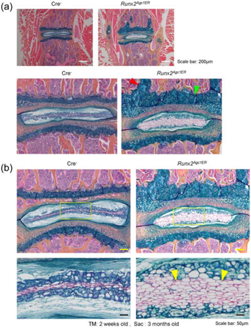 FIGURE 3