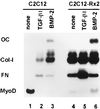 FIG. 5