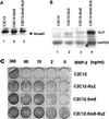 FIG. 7