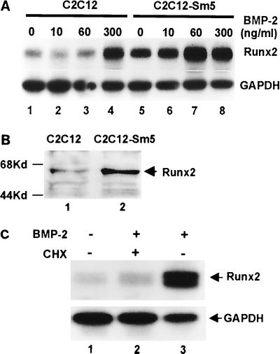 FIG. 8