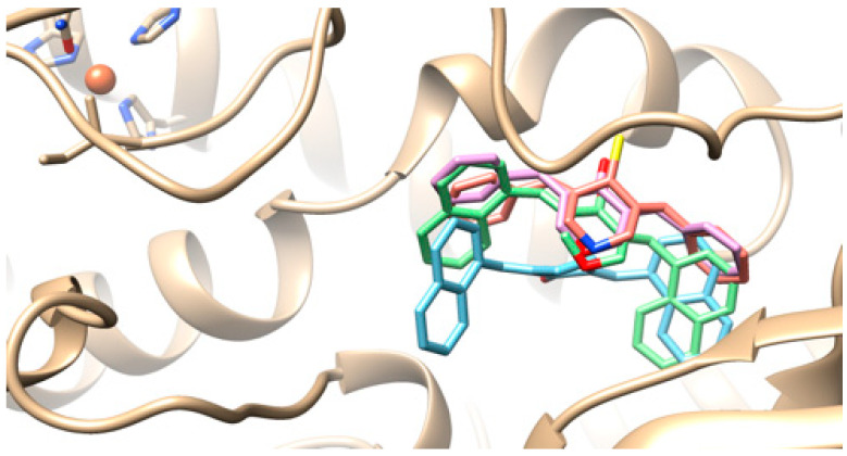 Figure 7