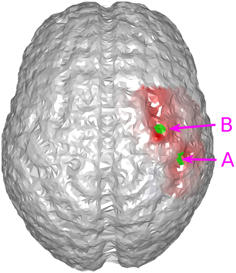 Fig. 5