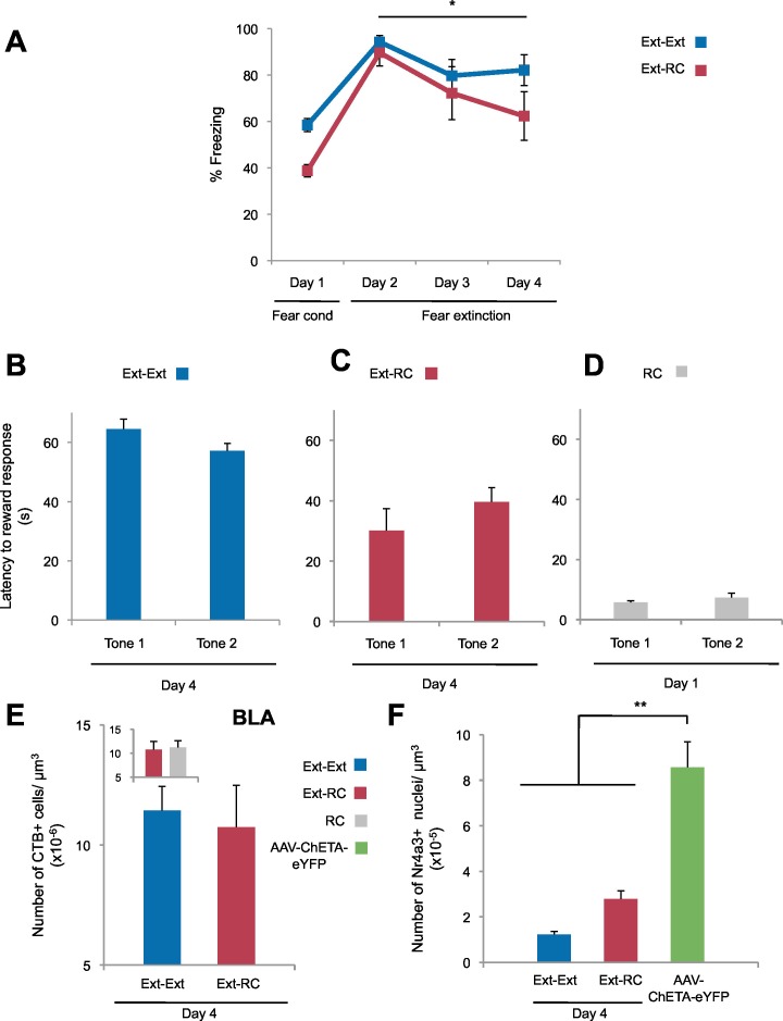 Figure 3—figure supplement 1.