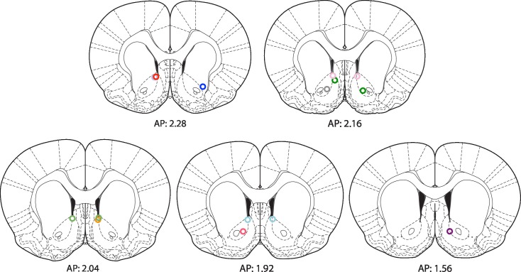 Figure 6—figure supplement 1.