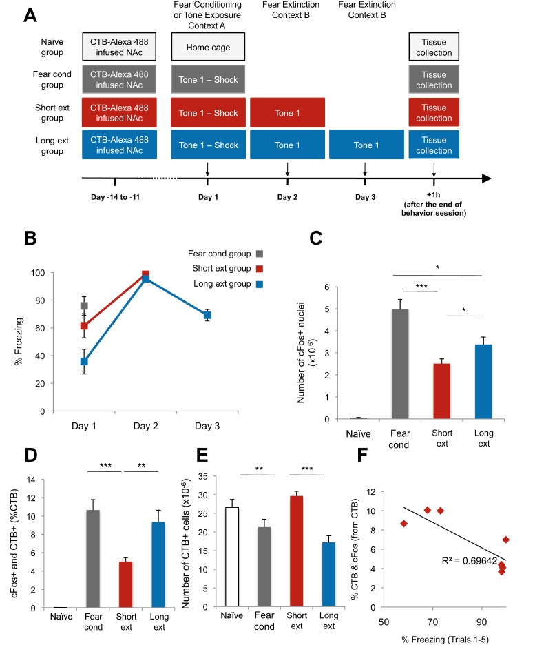 Figure 1—figure supplement 2.