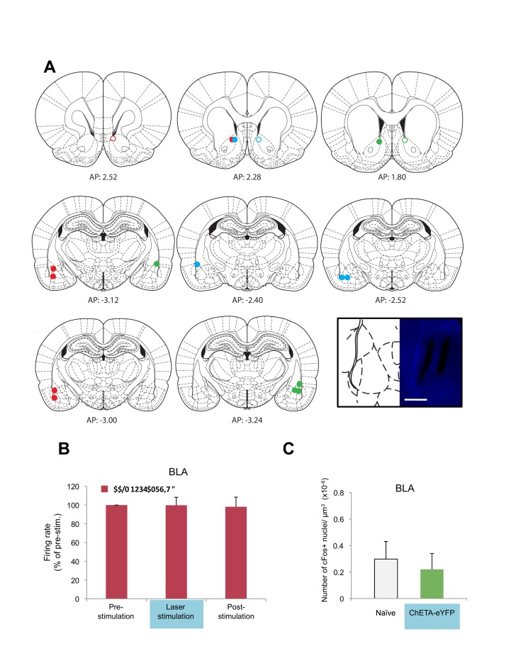 Figure 6—figure supplement 2.