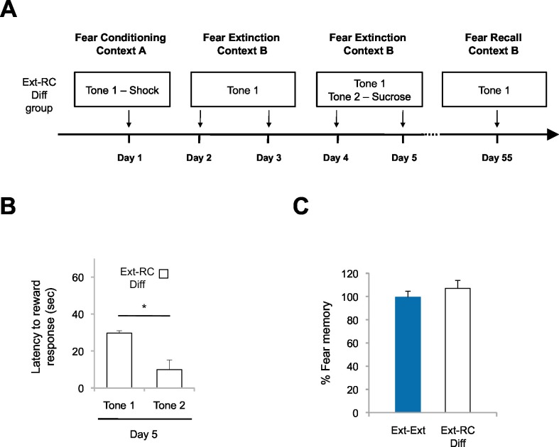 Figure 2—figure supplement 3.