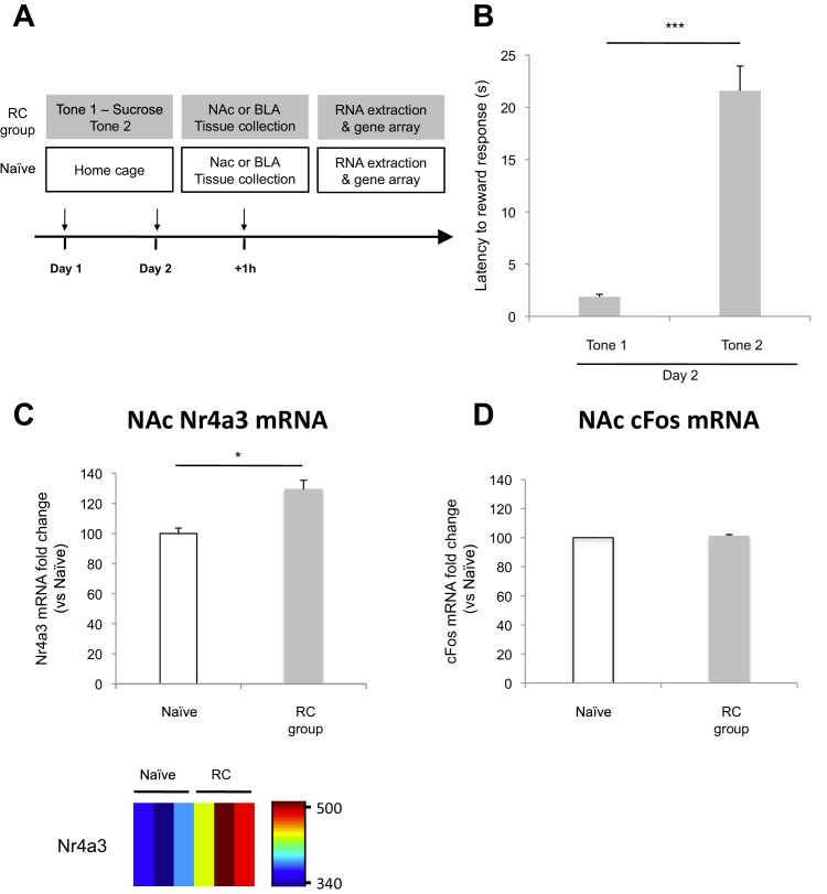 Figure 3—figure supplement 2.