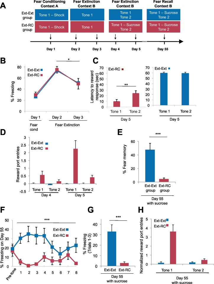 Figure 2—figure supplement 2.