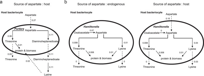 FIG 6