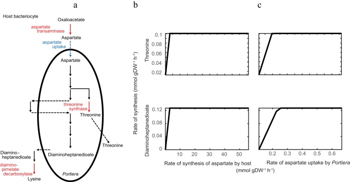 FIG 5