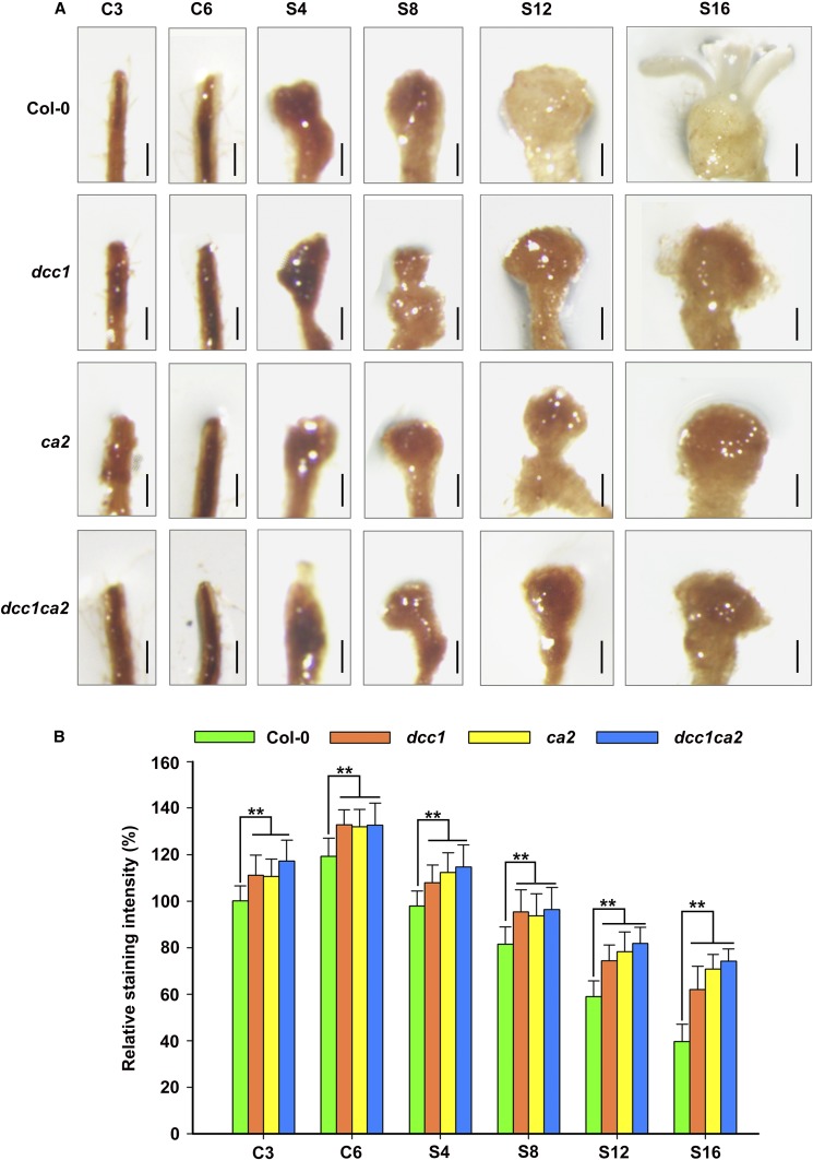 Figure 6.