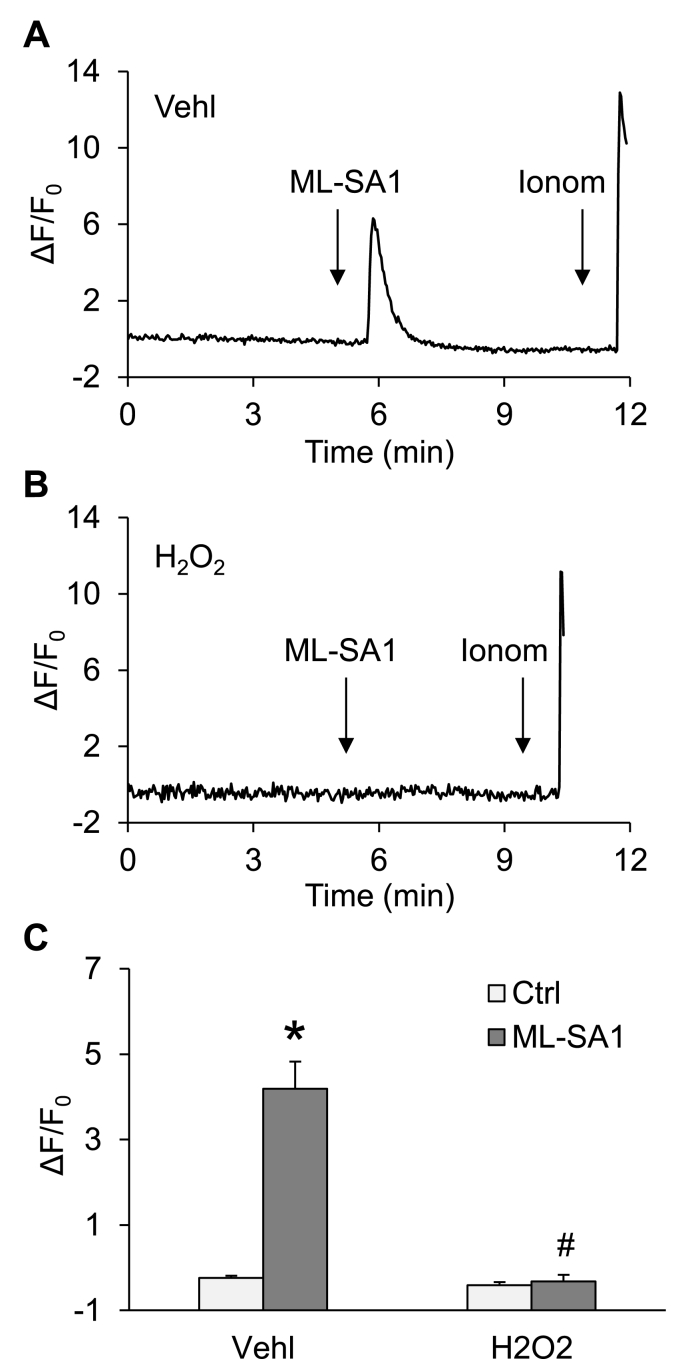 Fig. 8