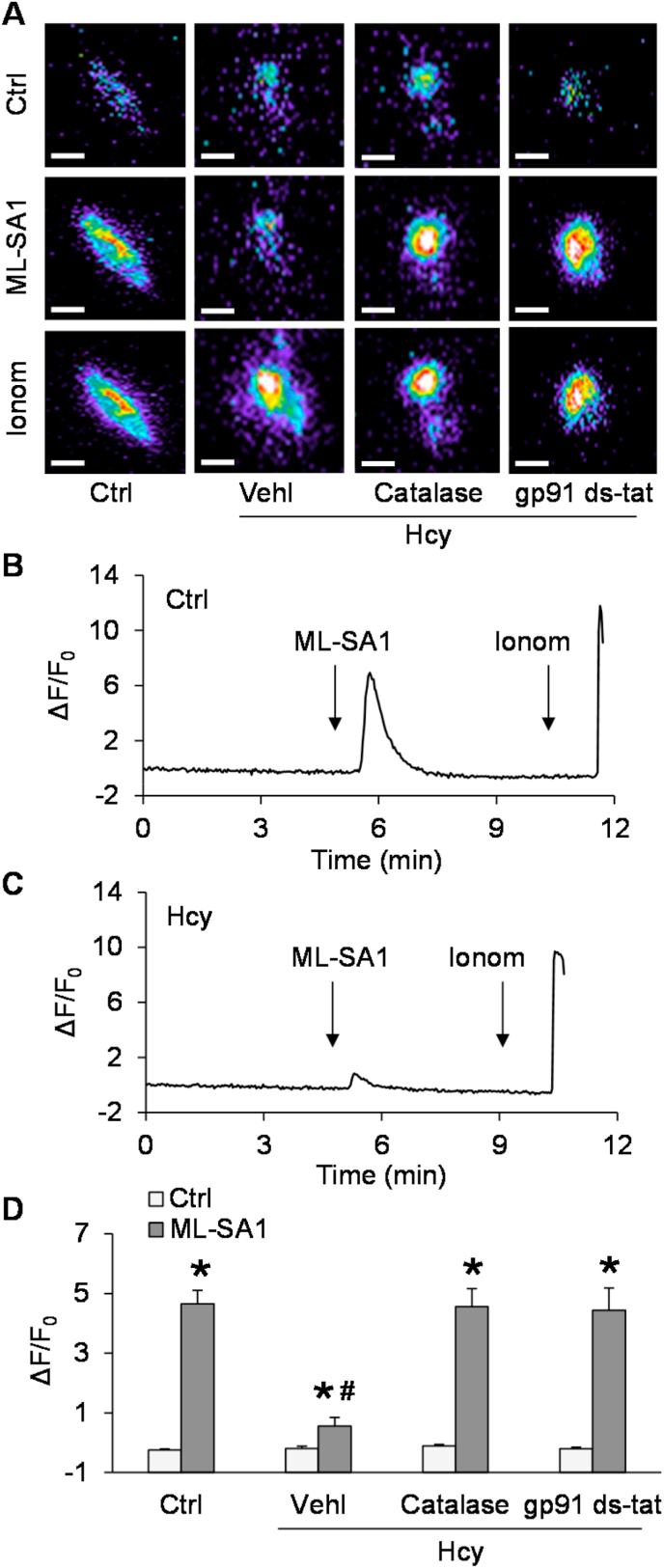 Fig. 4