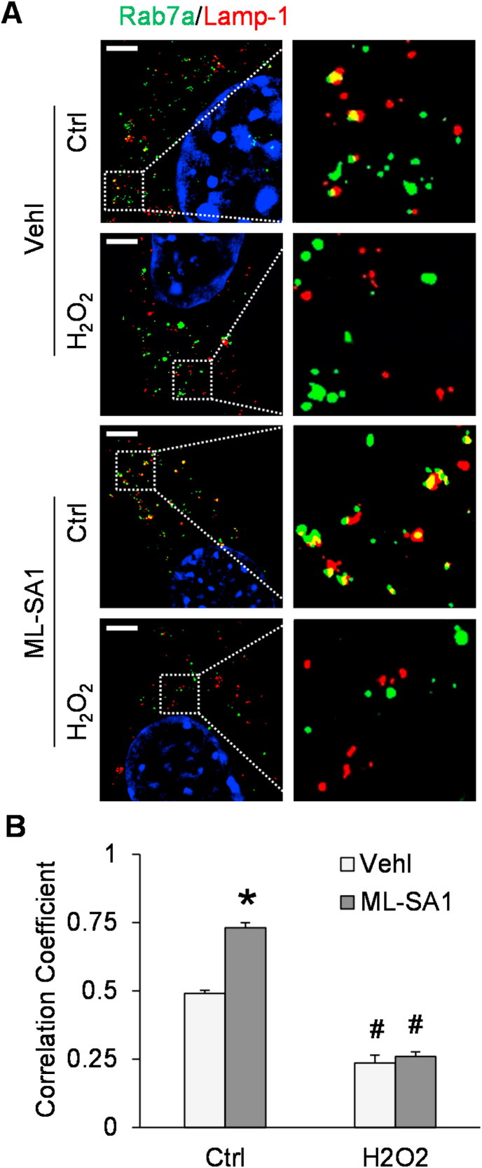 Fig. 9