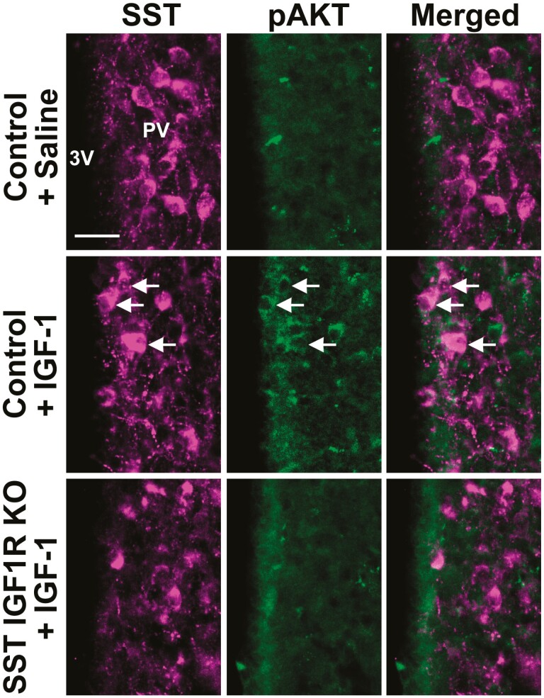 Figure 6.