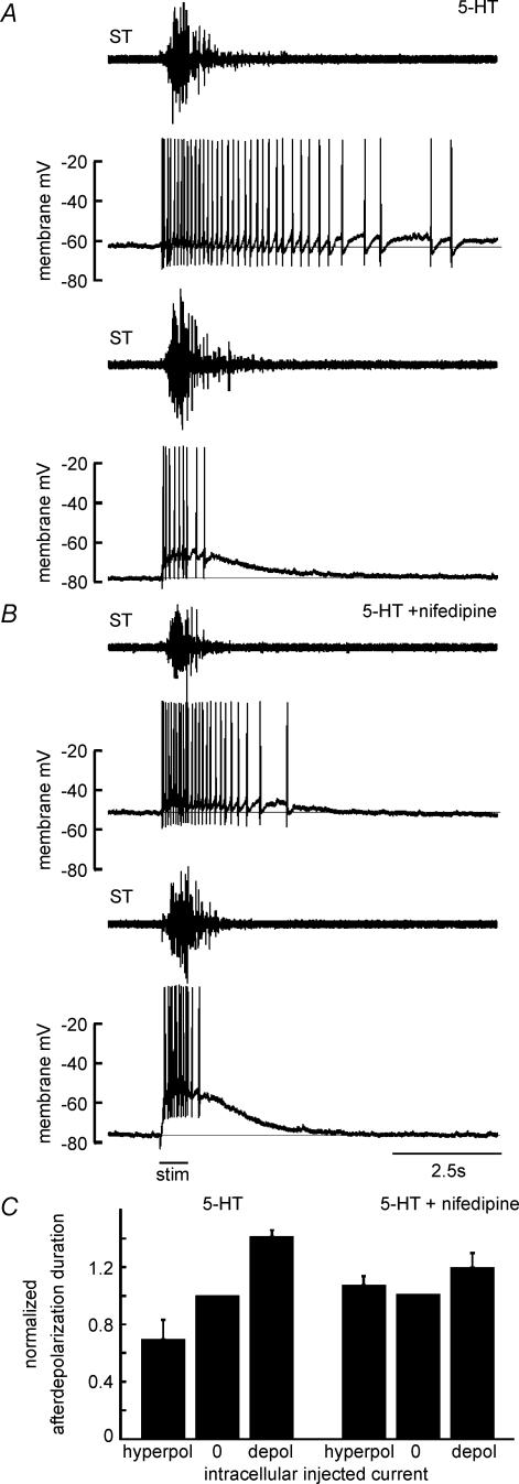 Figure 5