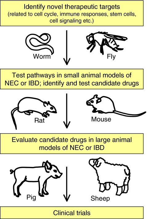 Fig. 3.