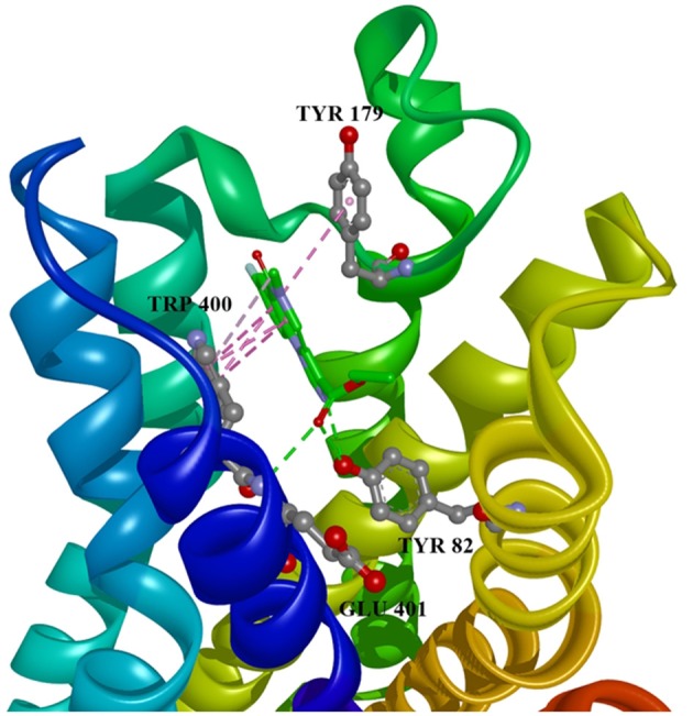 Figure 4