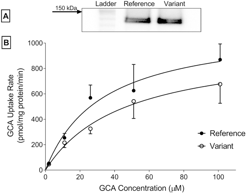 Figure 1: