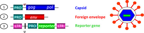 Fig. 1