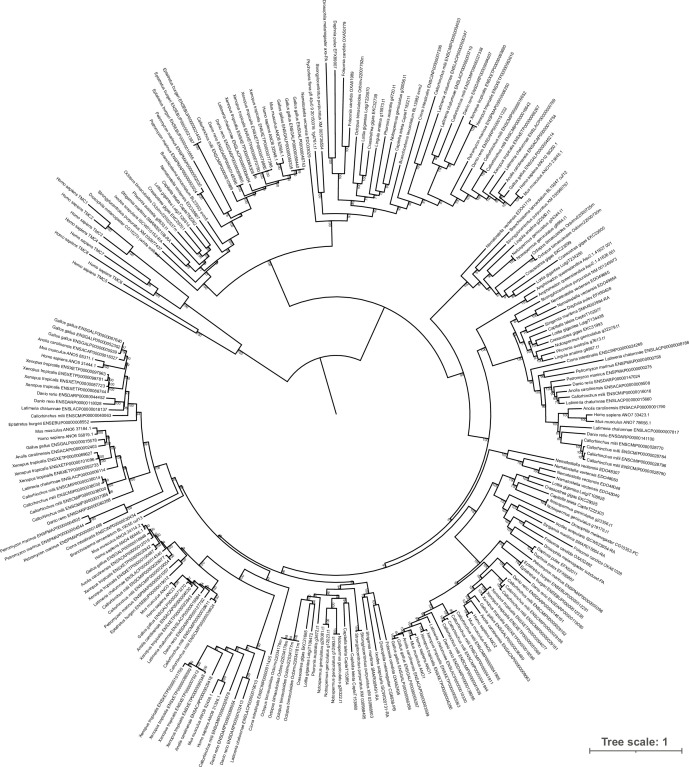 Figure 1—figure supplement 4.