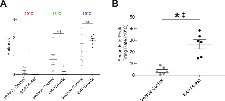 Figure 3—figure supplement 1.