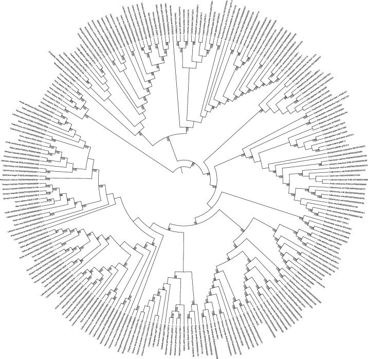 Figure 1—figure supplement 5.