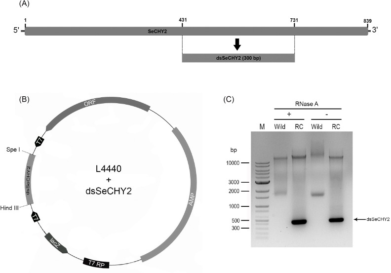 Fig 9