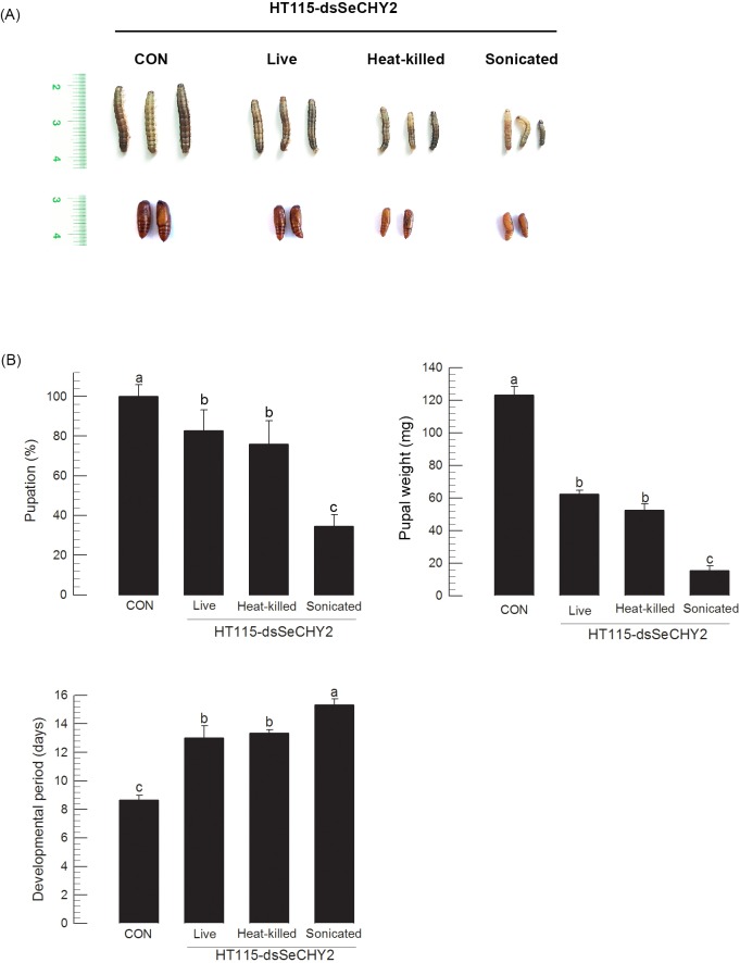 Fig 10