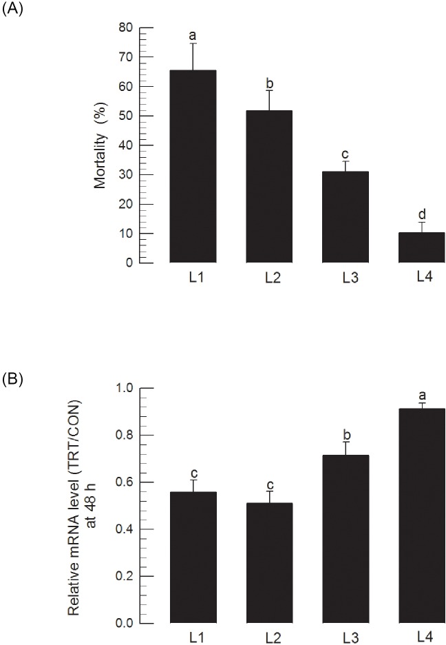 Fig 11