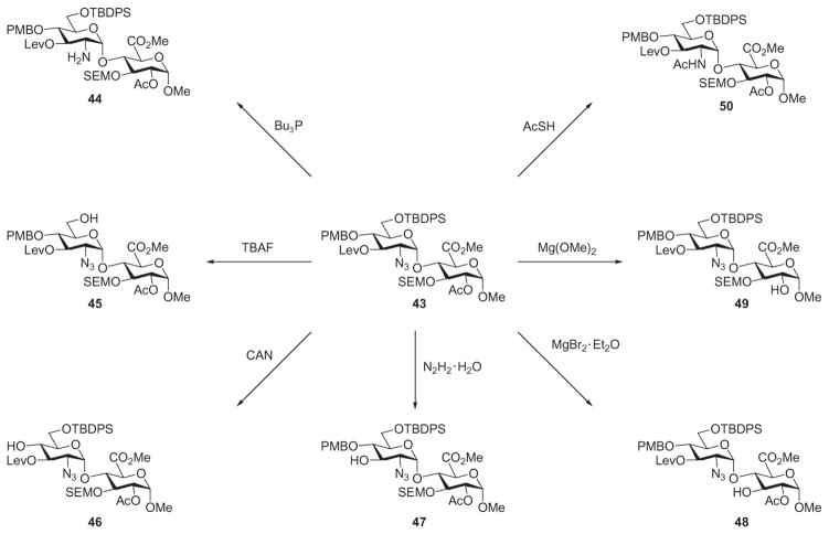 Scheme 8