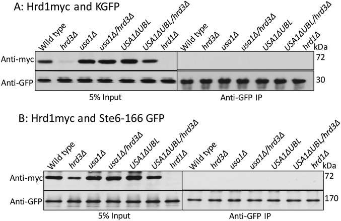 Fig. S1.