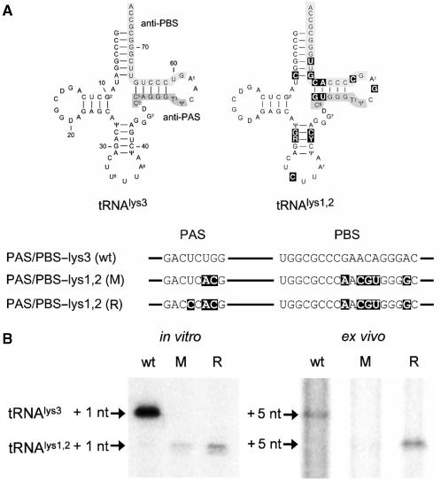 Figure 9.