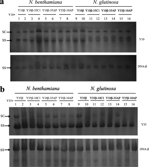 FIG. 5.