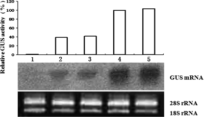 FIG. 7.