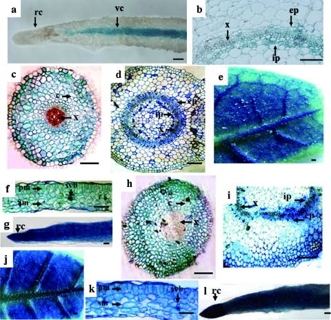 FIG. 6.