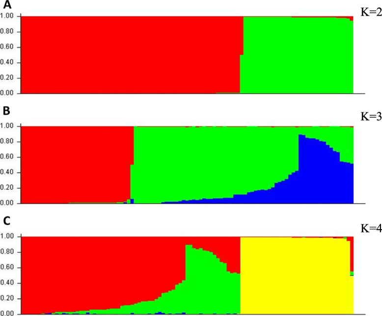 Fig. 5