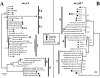 FIG. 2.