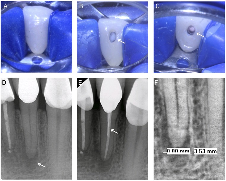 Fig. 7.