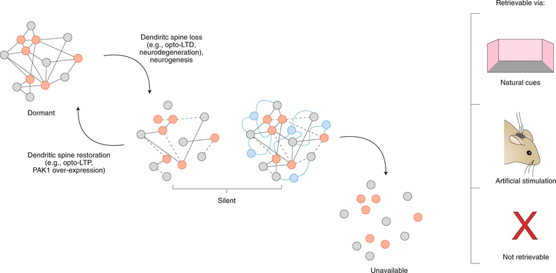 Fig. 4 |