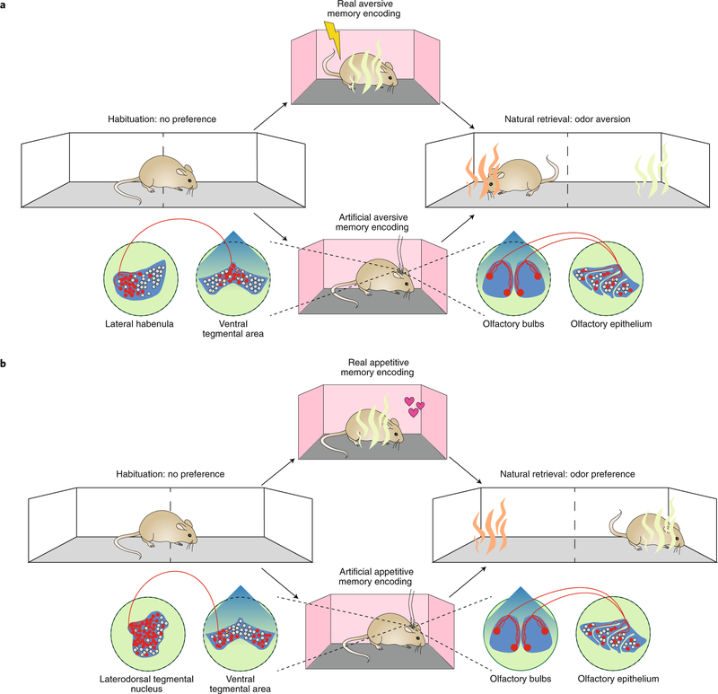 Fig. 3 |