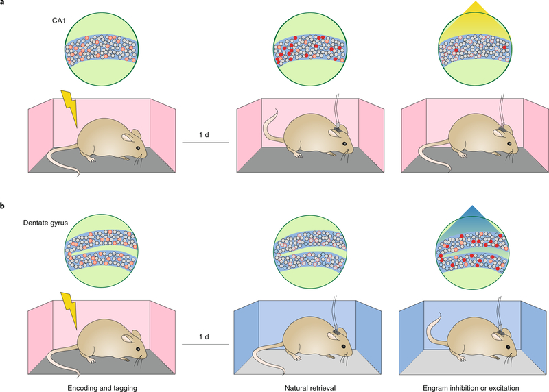 Fig. 2 |