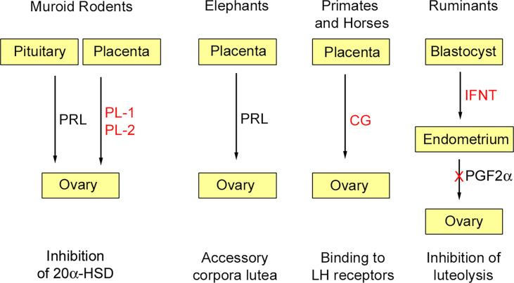 Figure 1